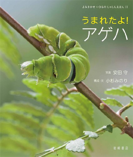 Amazon.co.jp: うまれたよ! アゲハ (よみきかせ いきもの