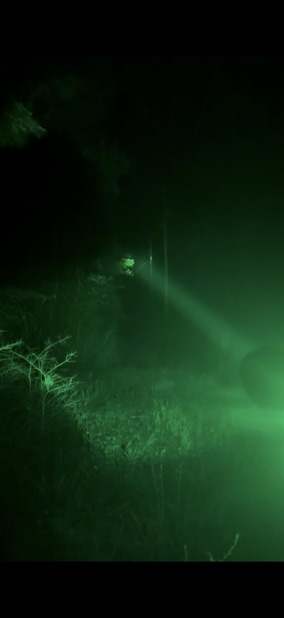 UltraFire® WF-501GX Green LED Rechargeable Flashlight