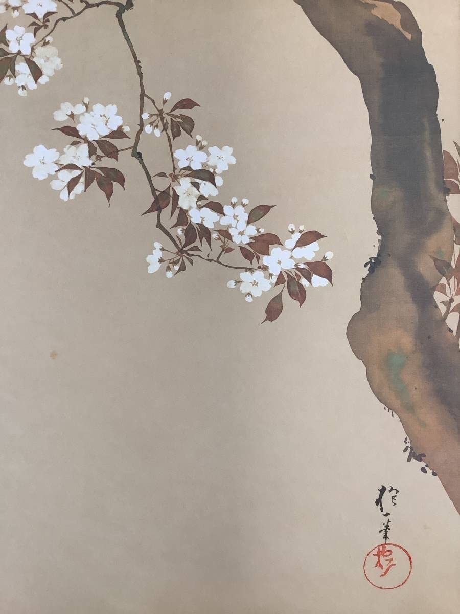 Amazon.co.jp: 模写掛軸R4-9-19B酒井抱一『桜に雉子図』絹本 工芸 印刷