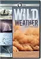 その他 Weather Patterns [DVD] Teenage Mutant Ninja Turtles: Fast Forward Future Shellshock