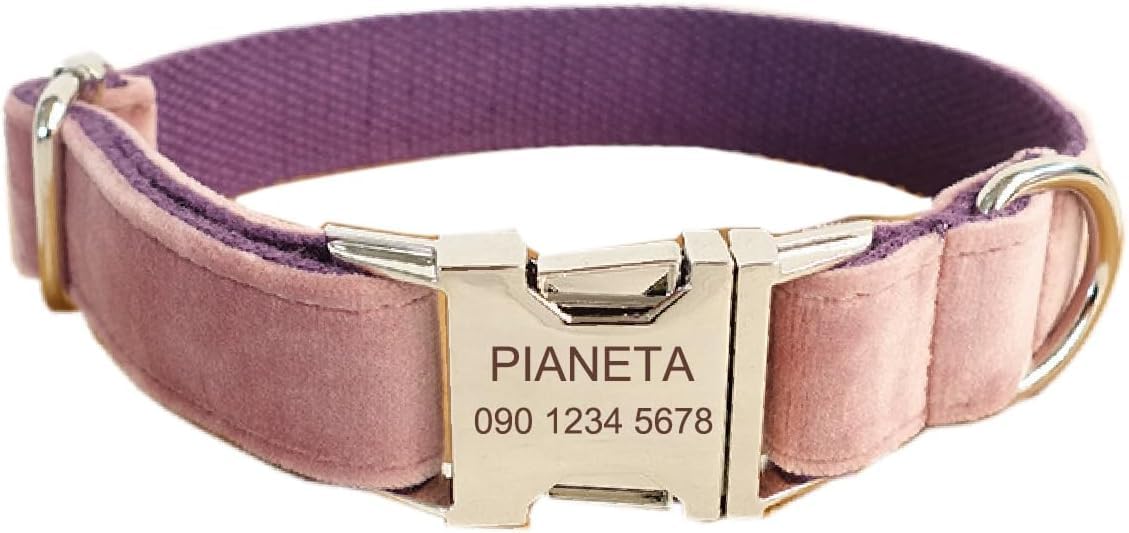 Personalized Dog Collar - Soft Comfy Velvet Custom Dog Collars with Pet Information Engraved on The Metal Plate, Dog Leash and Bow Tie Available (Pink)