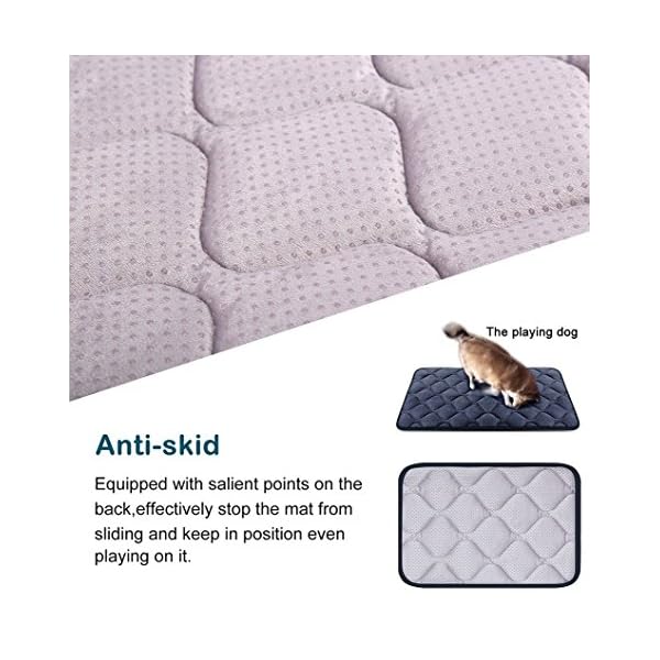 Washable Dog Mats Buy Online