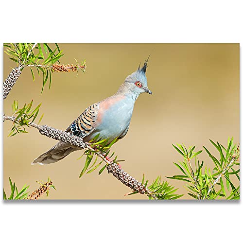 Kit peinture au diamant oiseau 50x100cm pour relaxer toute la famille en broderie 5D