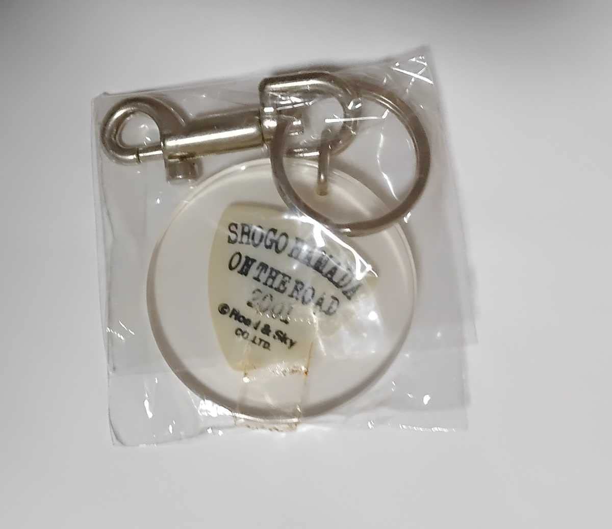 Amazon.co.jp: レア浜田省吾キーホルダーピック : おもちゃ
