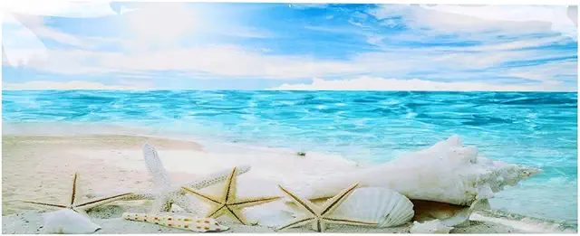 Aquarium Background Poster - Thick PVC Adhesive Sticker for Terrarium Achterwand