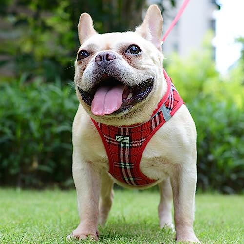 Suredoo Hundegeschirr Kleine Hunde mit Leine, Anti Zug Geschirr Reflektierend Atmungsaktiv Brustgeschirr, Welpengeschirr für Kleine Hunde (Rot Kariert, S, Brust: 29-33cm)
