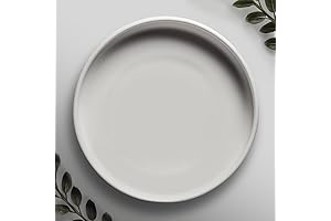 Willowy Matte White Ceramic Pot Saucer - Essential Pebble Trays for Indoor Plants Humidity