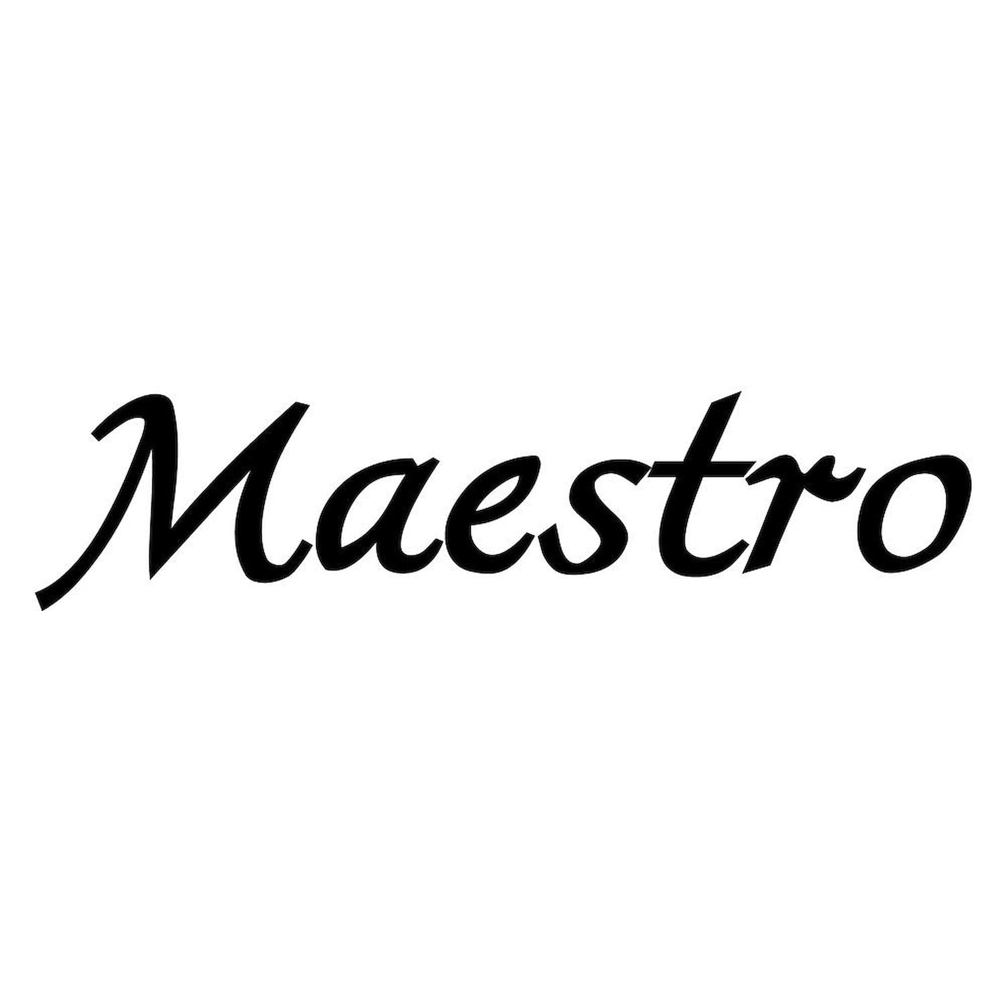 CafePress Maestro Conductor Mug 11 oz (325 ml) Ceramic Coffee Mug