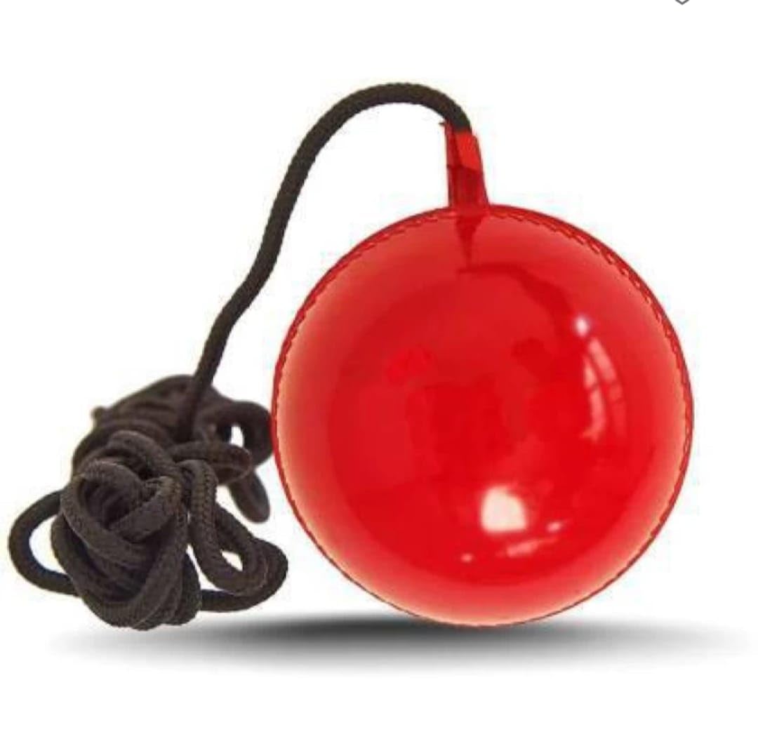 Cricket Practice PVC/Rubber Hanging Ball Cricket Rubber Ball (Pack of 1) (B0CTFCWKCR) Amazon Price History, Amazon Price Tracker