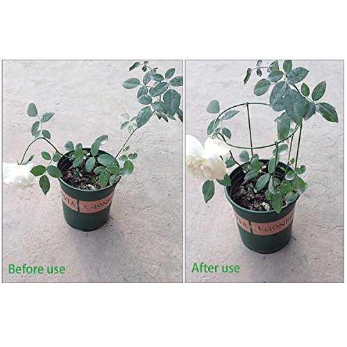 rescozy (Pack of 6) Small Garden Plant Support Rings, 7.9\" Wide x 11\" High, 3 Legs - Thumbnail 3