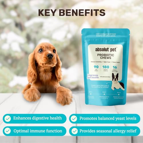 Image of Absolut Pet Probiotic Gut Health Chews for Dogs |90 Chews