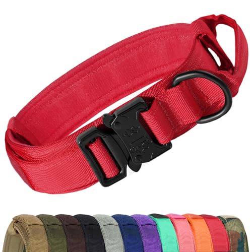Collares Perros Grandes Marca Joytale
