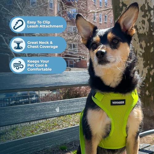 Image of Best Pet Supplies Voyager Step-in Lock Pet Harness w Reflective Pet Leash Combo Set with Neoprene Handle 5ft - Supports Small, Medium and Large Breed Puppies /Cats - Lime Green, XS