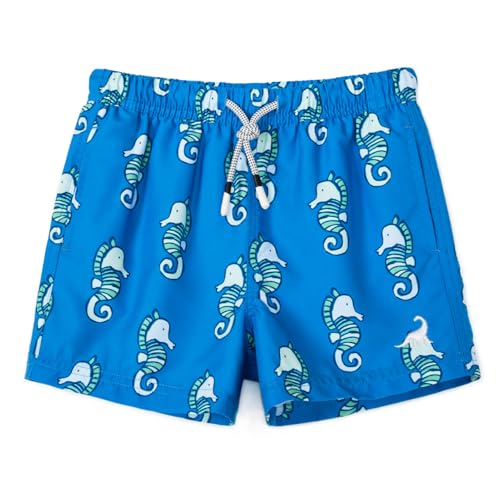 Image of SURF CUZ Boys Swim Trunks Toddler Swim Shorts UPF 50+ Bathing Suit for Boy Swimsuit Quick Dry Mesh Beach Boardshorts Swimwear