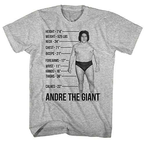 51Tjl7WD7XL.jpg