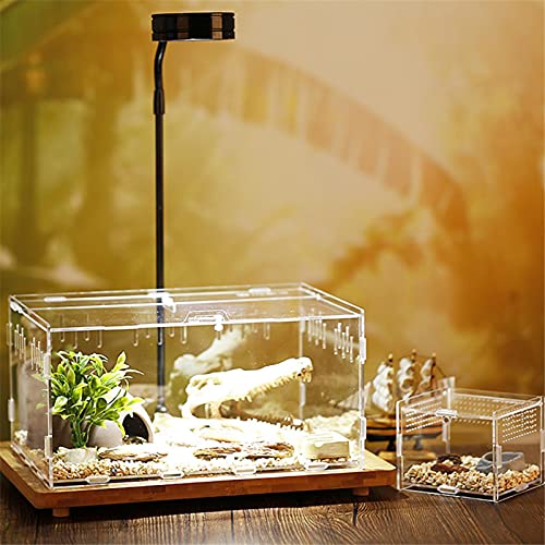 Foxglove Reptiel Voeden Doos Fokken Doos Transparant Glas Fokken Doos Terrarium Terrarium Feeder Slangen Spin Hagedis… - Afbeelding 8