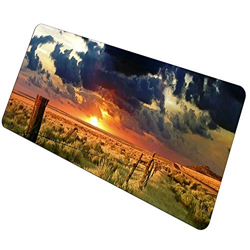 Alfombras de Escritorio