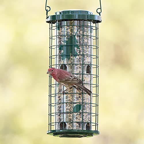 Perky-Pet 114G Squirrel Stumper Wild Bird Feeder thumb #1