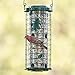 Perky Pet 114G Squirrel Stumper Wild Bird Feeder, Green
