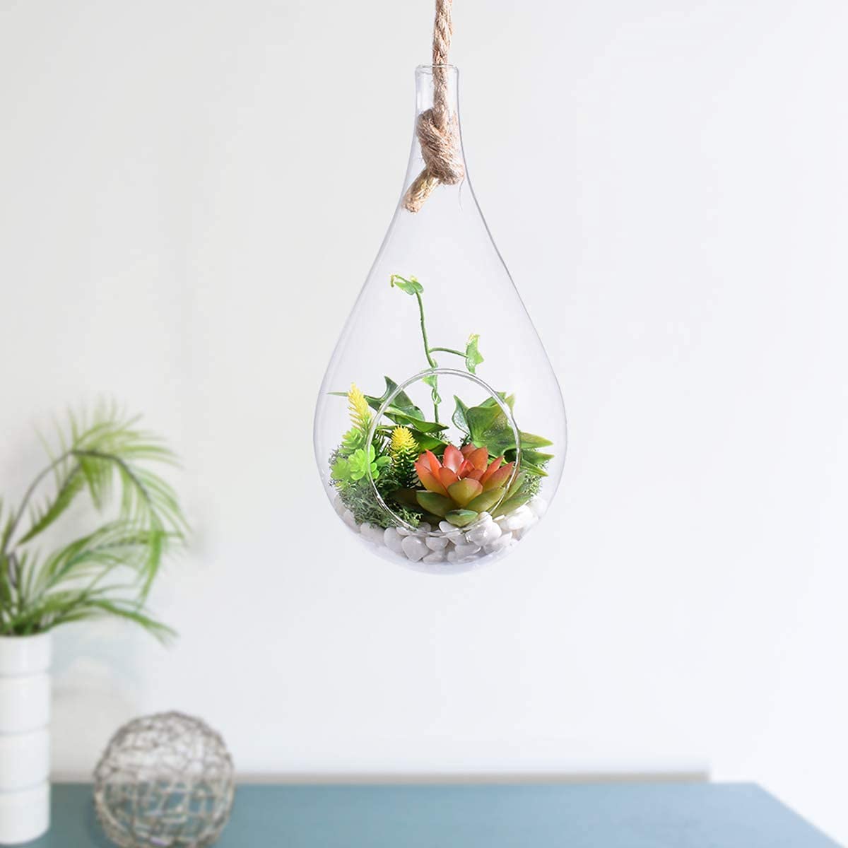 Le Terrarium En Verre à Suspendre - Hortus Focus I Mag