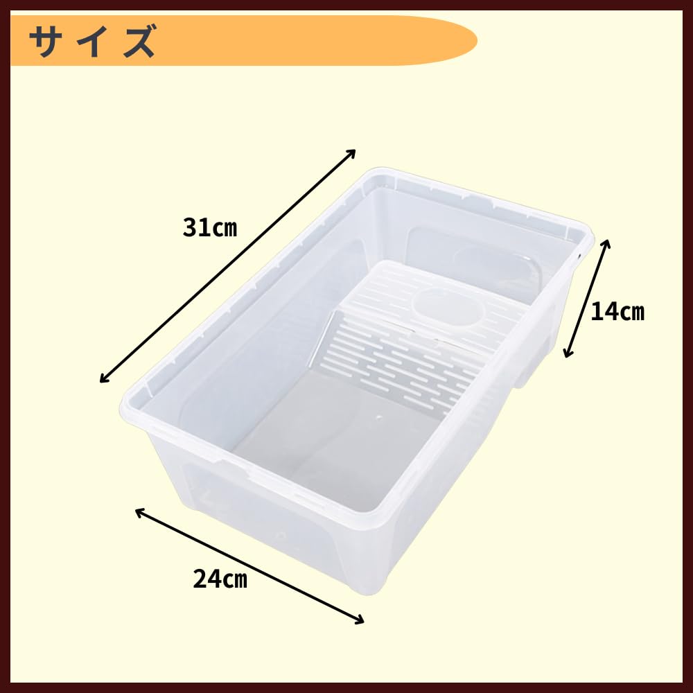 Amazon | ideamall 亀 水槽 カメ 亀の水槽 タートルボックス