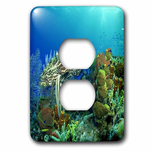 Poisson basse cache de prise de courant 2 plots 3dRose lsp_26848_6 decoration murale