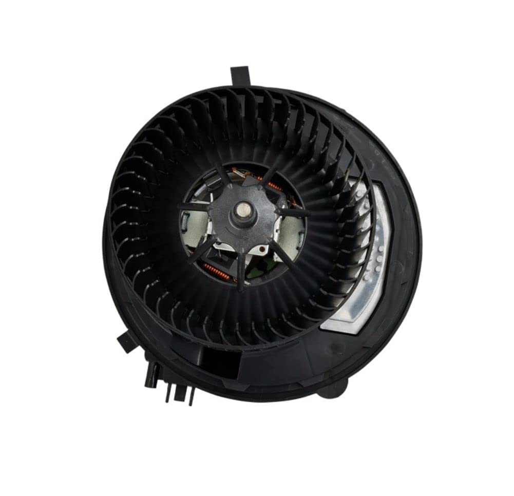 Amazon.com: YANGMO-AUTO 1pc/set OE# 5Q0819021A 5Q1819021B/A/E 