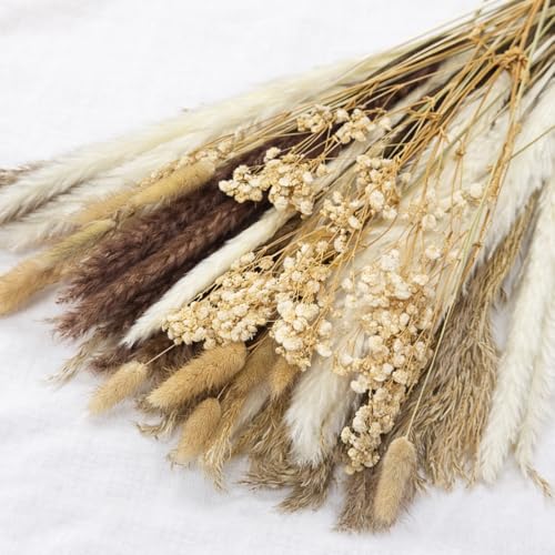 Ramo natural de flores secas decorativas 66 tallos miniatura 2