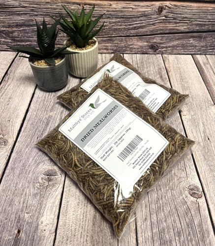 Premium Dried Mealworms, 2.5L Bag Wild Bird Food (Approx weight 400g - 2.5 litre) MCW - Image 4