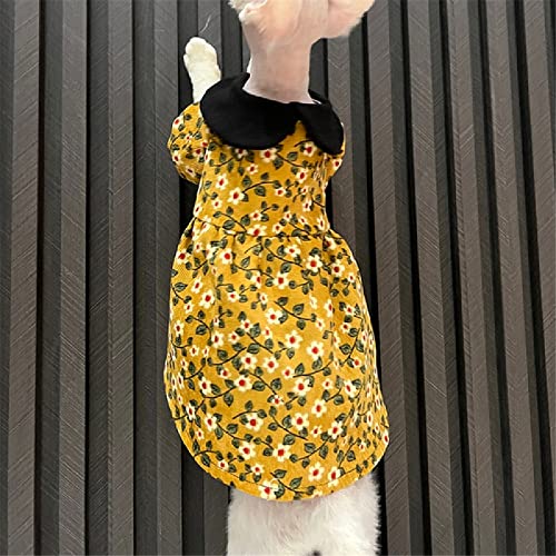 Robe de princesse pour chat sans poils Sphinx jaune taille L+ pour chat nu