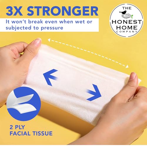Image of Honest Home Face Tissue (2 Ply) - 100 Pulls