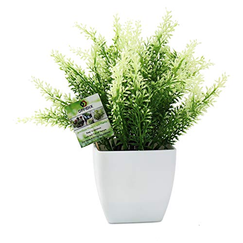 Best Artificial Plant For Vase
