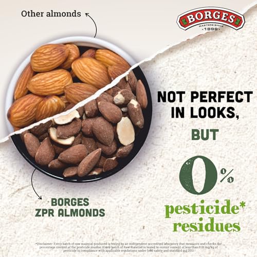 Image of Borges ZPR Almonds - Roasted with Skin 500 gm | Zero Pesticide |Premium Spanish Variety | Crunchy & Rich Flavour