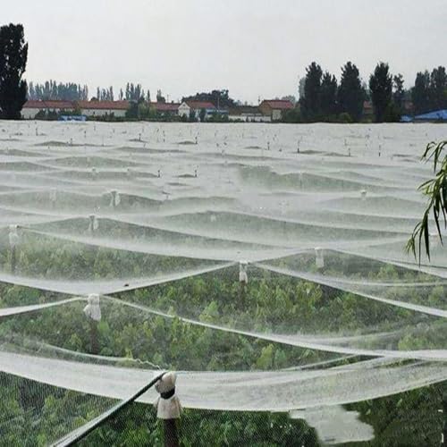 Maille de jardin robuste 6x6m flexible pour serre et protection