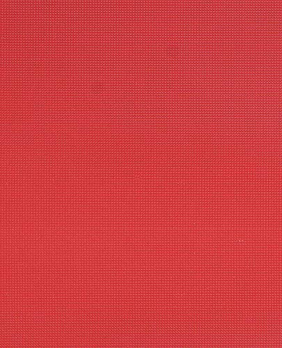 Image of Plastic Cutting Chopping Board- Non-Slip Antibacterial Surface with Extra Thickness Red, 18x12 Inches