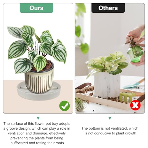 M METERXITY 2-Pack Plant Saucer, 6 Inch Flower Pot Saucers - Image 4