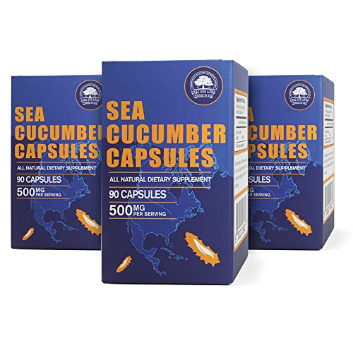 Dol Wild Caught Sea Cucumber Capsules Sea Cucumber Extract Supplement Super Natural Antioxidant, Immune Builder-90 Capsules (Three Bottles) #TOP1