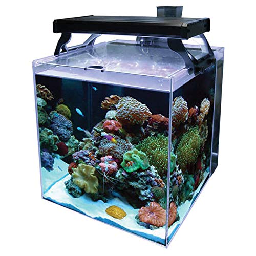 Aqua One NanoReef 35 Marine Aquarium
