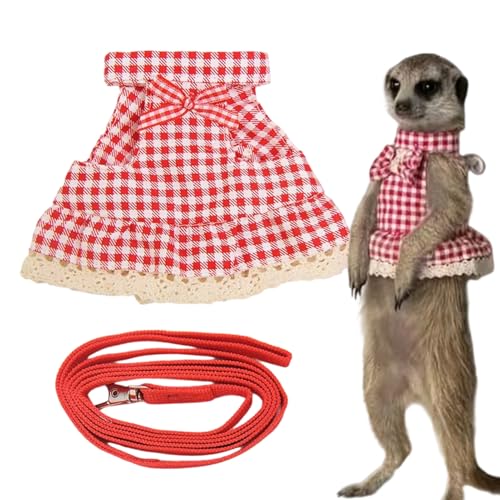 n[lX,Xgbv | Eh~  [ht  nX^[ tFbgp