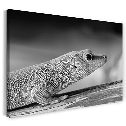 Print on Canvas (60x40 cm) lizard, close-up of a scaled reptile, black and white, animal photo, nature photography, real wood frame with hook