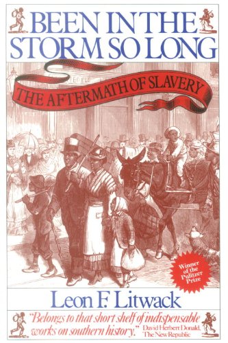 Been in the Storm So Long (Pulitzer Prize Winner): The Aftermath of Slavery