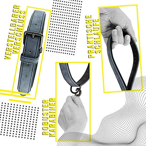 ne&no® Halsband und Leine Set (veganes Leder) Hundeleine mit Halsband I robuste Hundeleine mit Karabiner I Hundehalsband verstellbar I 1.2m Dog Leash I biegsam und extra weich (XS, blau/anthrazit)