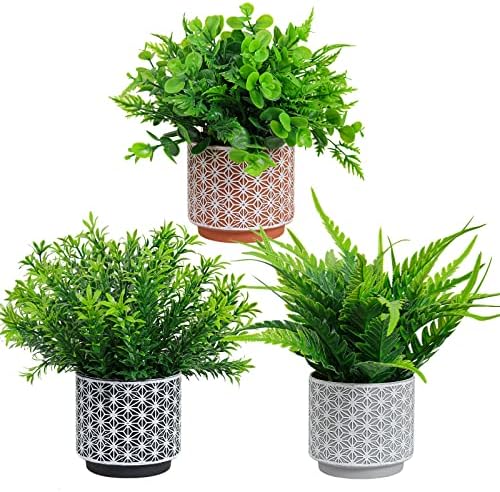RIDDSEE Artificial Potted Plants 3Pack- Realistic Ferns Plants Plastic Rosemary Plants Potted in Pot Fake Small Eucalyptus Greenery for Office Desk Kitchen Bedroom Bathroom Outdoor Indoor Home Decor