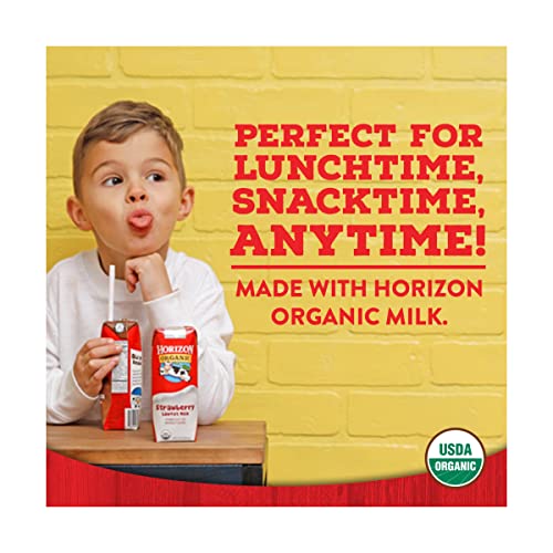 Horizon Organic Shelf-Stable 1% Low Fat Milk Boxes With Dha Omega-3, Chocolate, 8 Oz., 6 Pack #TOP4
