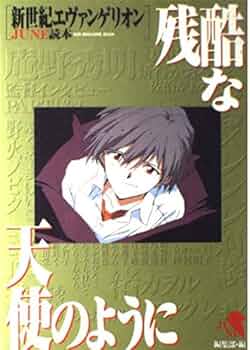 エヴァンゲリオン 本 Amazon.com: Neon Genesis Evangelion Newtype 100% Collection