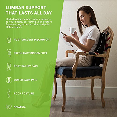 Image of Grin Health SitRight Premium Lumbar Support Cushion Cool Gel- Orthopedic High-Density Memory Foam Backrest for Office Chair & Car Seat, Posture Correction & Back Pain Relief (Large, Black)