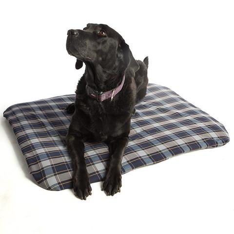 Promagnet Magnetic Therapy Pet Pad (Large) Washable, Removable Cover. Made In The Usa For Over 26 Years #TOP3