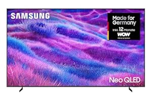 Samsung Neo QLED 4K QN80F 100 Zoll (254 cm) Mini LED Fernseher, NQ4 AI Gen2 Prozessor, Quantum Matrix Technology Core, 4K Upscaling, Dolby Atmos, Knox Security, Samsung Vision AI Smart TV