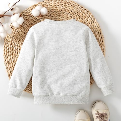 Image of Toddler Baby Girl First Birthday Outfit In My One Year Old Era Sweatshirt Tops Little Princess 1st Birthday Clothes