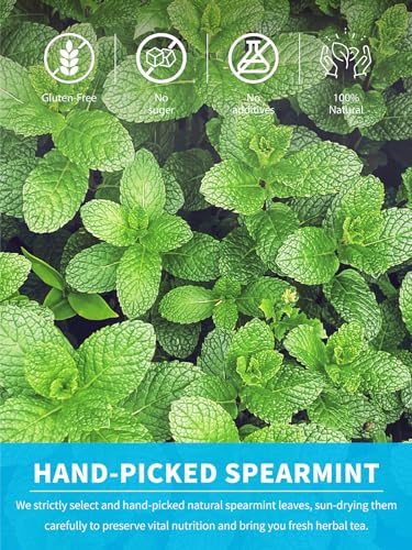 Image of TeeLux Spearmint Tea Bags, Natural Spearmint Leaf Herbal Tea, Refreshing & Smooth Mint Tea, Caffeine Free, 100 Count